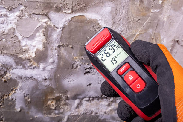 Dry Ridge, KY Mold Removal Company
