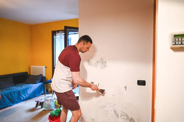 Best Mold Remediation Experts  in Dry Ridge, KY